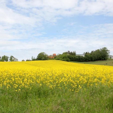 Ferienwohnung Haus Blick zur See FeWo 10 Gartennutzung, Meerblick, Sauna- und Schwimmbadnutzung im AHOI Sellin Goehren  Exterior foto