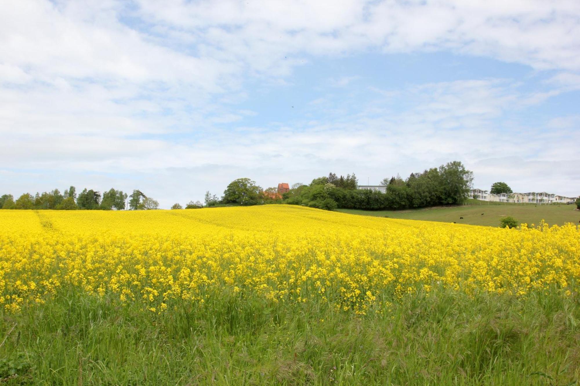 Ferienwohnung Haus Blick zur See FeWo 10 Gartennutzung, Meerblick, Sauna- und Schwimmbadnutzung im AHOI Sellin Goehren  Exterior foto